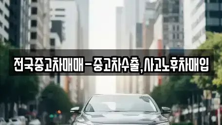 서울특별시 성동구 사근동 중고차매입 전문 전국중고차매매-중고차수출,사고노후차매입