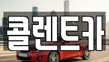 서울특별시 성동구 송정동 렌트카 전문 콜렌트카