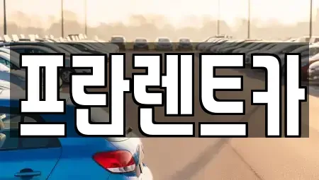 서울특별시 성동구 송정동 장기렌트카 전문 프란렌트카