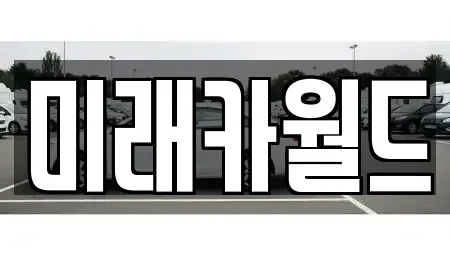 서울특별시 성동구 송정동 중고차매매 전문 미래카월드