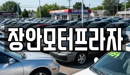 서울특별시 성동구 송정동 중고차매매 전문 장안모터프라자
