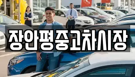 서울특별시 성동구 송정동 중고차매매 전문 장안평중고차시장