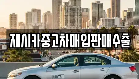 서울특별시 성동구 송정동 중고차매입 전문 재시카중고차매입판매수출