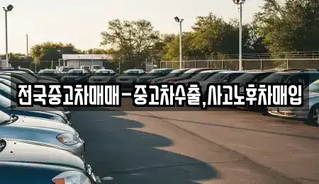 서울특별시 성동구 송정동 중고차매입 전문 전국중고차매매-중고차수출,사고노후차매입