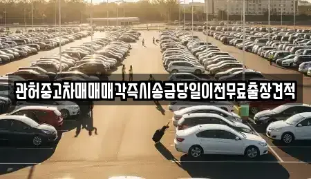 서울특별시 성북구 동선동5가 중고차 전문 관허중고차매매매각즉시송금당일이전무료출장견적