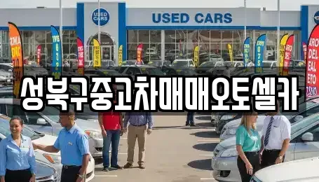 서울특별시 성북구 동선동5가 중고차 전문 성북구중고차매매오토셀카