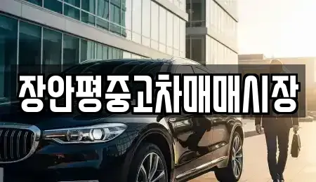 서울특별시 성북구 동선동5가 중고차 전문 장안평중고차매매시장