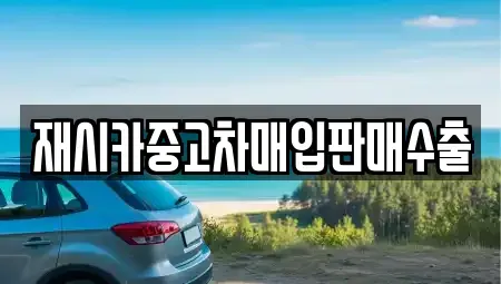 서울특별시 성북구 동선동5가 중고차매입 전문 재시카중고차매입판매수출