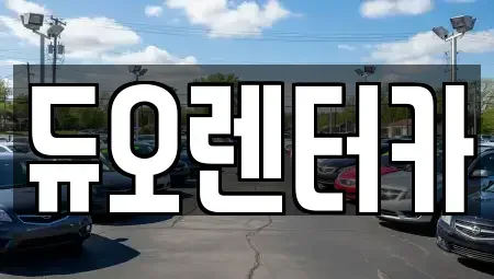 서울특별시 성북구 동소문동1가 렌트카 전문 듀오렌터카