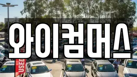 서울특별시 성북구 동소문동1가 렌트카 전문 와이컴머스