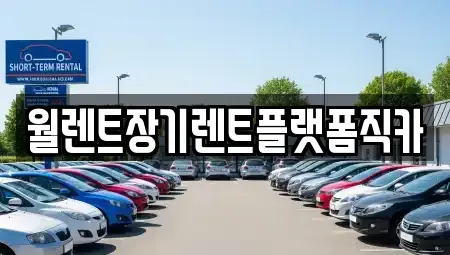 서울특별시 성북구 동소문동1가 장기렌트카 전문 월렌트장기렌트플랫폼직카