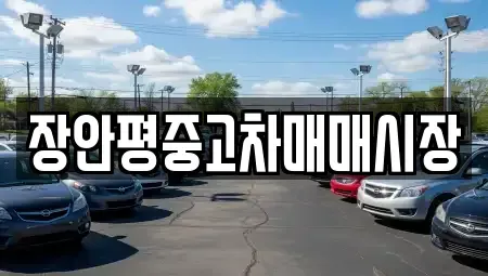 서울특별시 성북구 동소문동1가 중고차매매 전문 장안평중고차매매시장