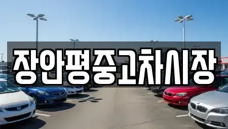 서울특별시 성북구 동소문동1가 중고차매매 전문 장안평중고차시장