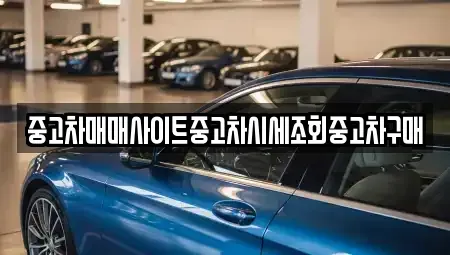 서울특별시 성북구 동소문동1가 중고차매매,단기렌트카,중고차매입,장기렌트카,중고차,렌트카