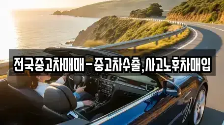 서울특별시 성북구 동소문동1가 중고차매입 전문 전국중고차매매-중고차수출,사고노후차매입