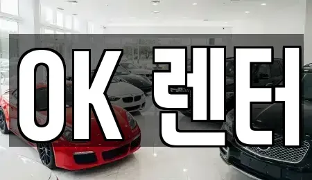 서울특별시 성북구 보문동3가 렌트카 전문 OK 렌터