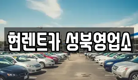 서울특별시 성북구 보문동3가 렌트카 전문 현렌트카 성북영업소