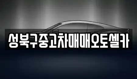 서울특별시 성북구 보문동3가 중고차매매 전문 성북구중고차매매오토셀카