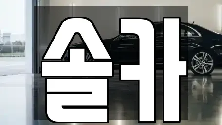 서울특별시 성북구 보문동3가 중고차매매,단기렌트카,중고차매입,장기렌트카,중고차,렌트카