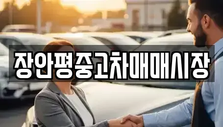 서울특별시 성북구 보문동3가 중고차매매 전문 장안평중고차매매시장
