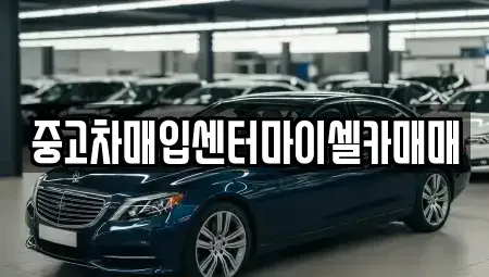 서울특별시 성북구 보문동3가 중고차매입 전문 중고차매입센터마이셀카매매