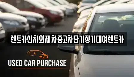 서울특별시 성북구 석관동 단기렌트카 전문 렌트카신차외제차중고차단기장기대여렌트카