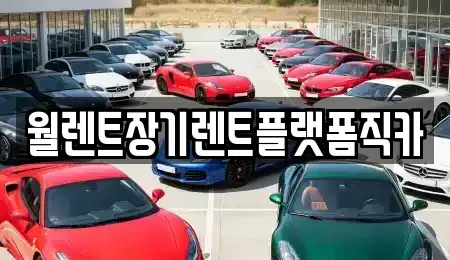서울특별시 성북구 석관동 장기렌트카 전문 월렌트장기렌트플랫폼직카
