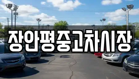 서울특별시 성북구 석관동 중고차매매 전문 장안평중고차시장