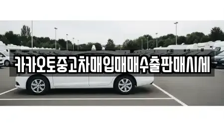 서울특별시 성북구 석관동 중고차매매,단기렌트카,중고차매입,장기렌트카,중고차,렌트카