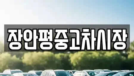 서울특별시 성북구 하월곡동 중고차매매 전문 장안평중고차시장