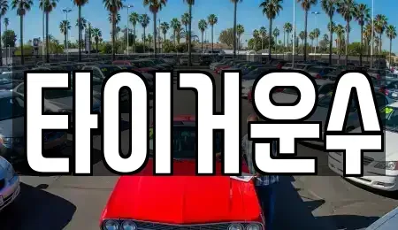 서울특별시 송파구 단기렌트카 전문 타이거운수