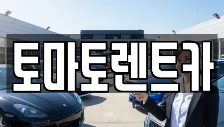 서울특별시 송파구 렌트카 전문 토마토렌트카