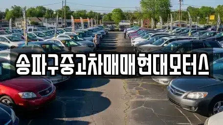 서울특별시 송파구 중고차 전문 송파구중고차매매현대모터스
