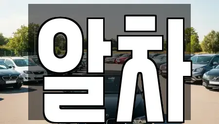 서울특별시 송파구 중고차 전문 알차