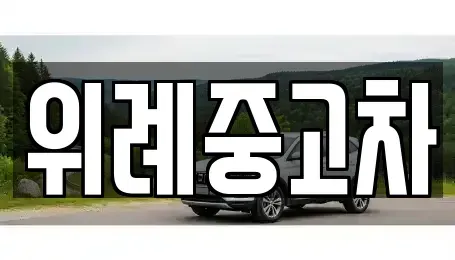 서울특별시 송파구 중고차 전문 위례중고차