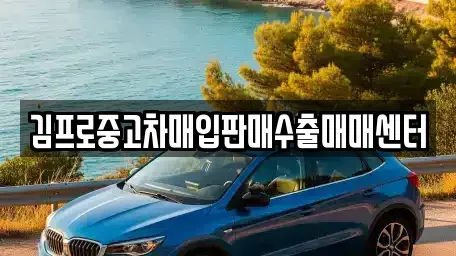 서울특별시 송파구 중고차매입 전문 김프로중고차매입판매수출매매센터