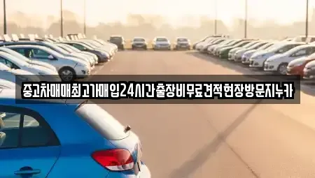 서울특별시 영등포구 양평동6가 중고차 전문 중고차매매최고가매입24시간출장비무료견적현장방문지누카