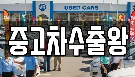 서울특별시 영등포구 양평동6가 중고차 전문 중고차수출왕