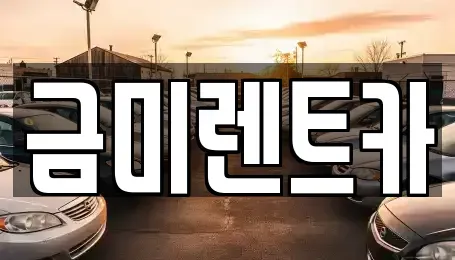 서울특별시 종로구 누하동 렌트카 전문 금미렌트카
