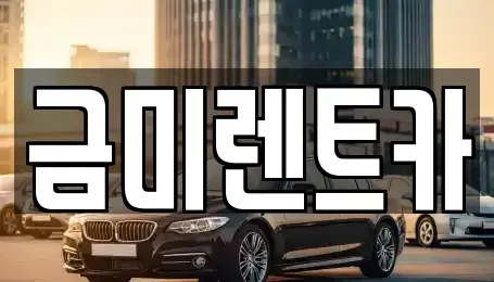 서울특별시 종로구 세종로 렌트카 전문 금미렌트카