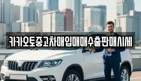 서울특별시 종로구 세종로 중고차매입 전문 카카오토중고차매입매매수출판매시세
