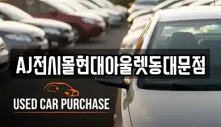 서울특별시 종로구 연지동 렌트카 전문 AJ전시몰현대아울렛동대문점