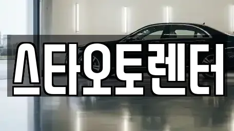 서울특별시 종로구 연지동 렌트카 전문 스타오토렌터