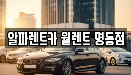 서울특별시 종로구 연지동 렌트카 전문 알파렌트카 월렌트 명동점