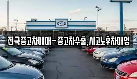 서울특별시 종로구 연지동 중고차매매 전문 전국중고차매매-중고차수출,사고노후차매입