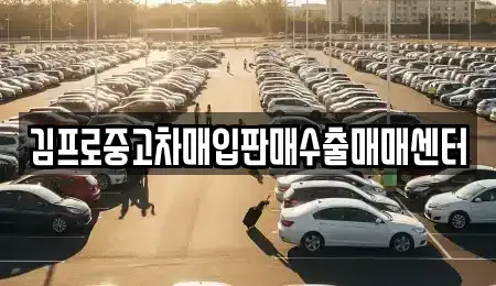 서울특별시 종로구 연지동 중고차매입 전문 김프로중고차매입판매수출매매센터