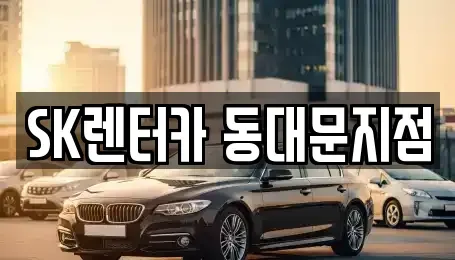 서울특별시 종로구 인의동 렌트카 전문 SK렌터카 동대문지점