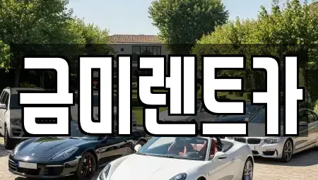 서울특별시 종로구 인의동 렌트카 전문 금미렌트카