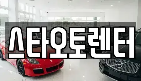 서울특별시 종로구 인의동 렌트카 전문 스타오토렌터