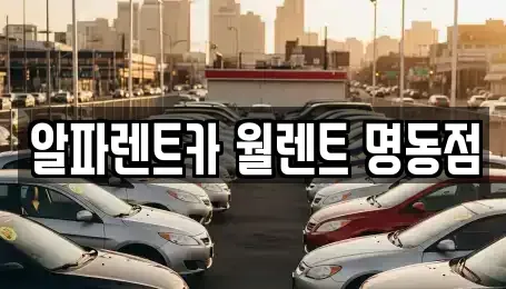 서울특별시 종로구 인의동 렌트카 전문 알파렌트카 월렌트 명동점